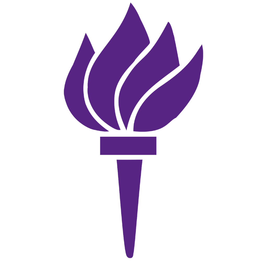 NYU Logo